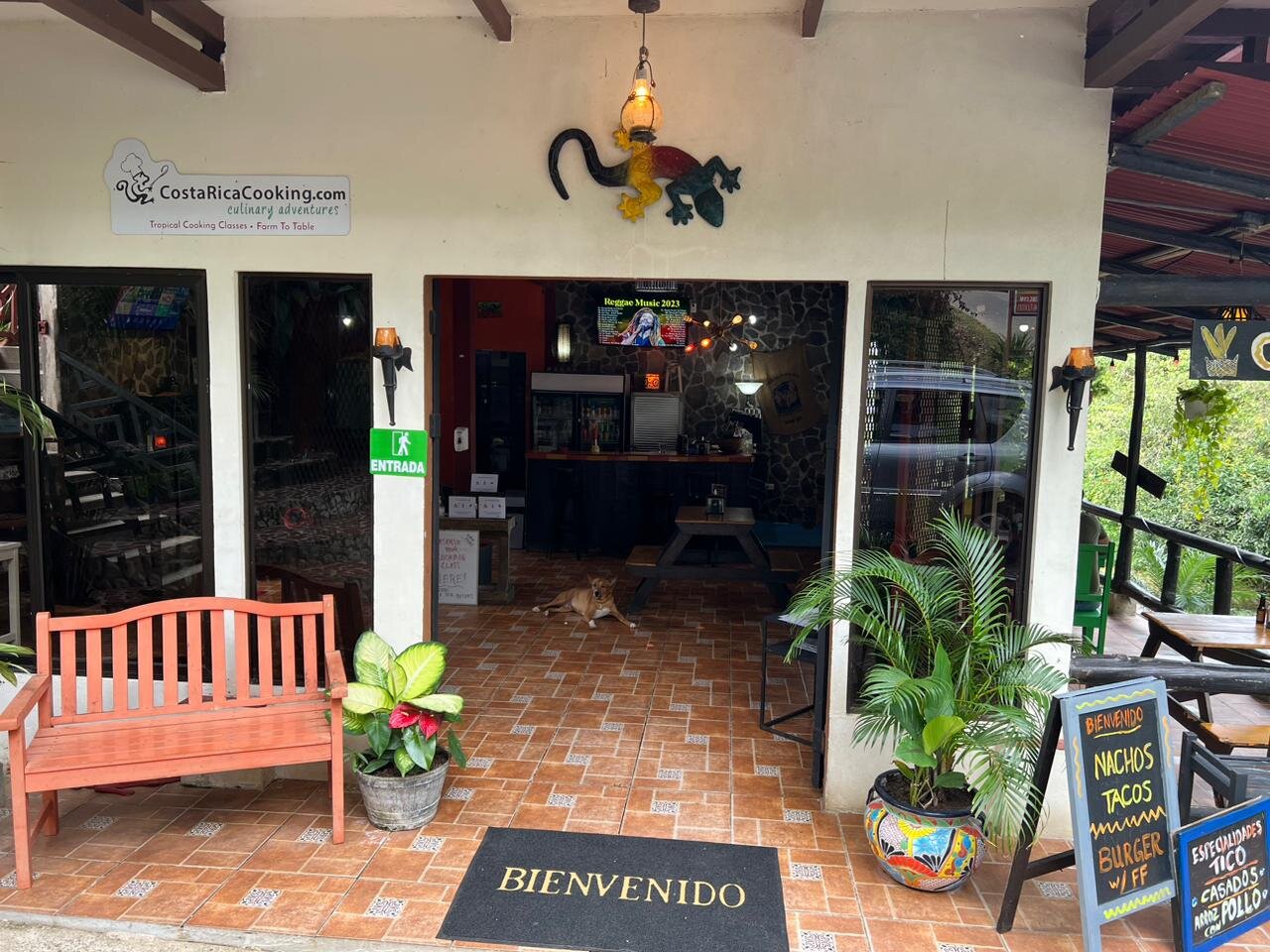 Gecko's Waterfall Grill